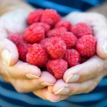 Малина польза и вред