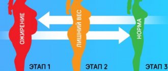 Метаболическая диета. Подробное описание, меню 1-2-3 этапа, рецепты, таблица баллов, фото до и после