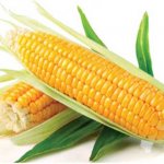 Можно ли кукурузу при грудном вскармливании