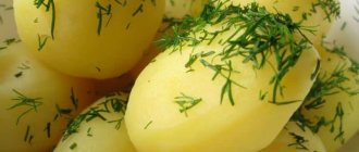 Можно ли проводить разгрузочные дни на картофеле