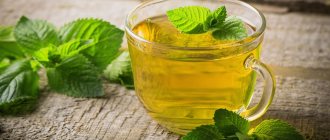 мятные листья