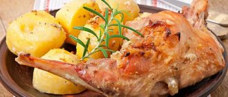 нога кролика