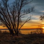 Нововоронеж охладитель