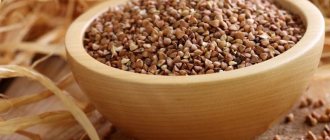 Описание гречневой крупы, её взаимосвязь с гречкой и гречневой кашей
