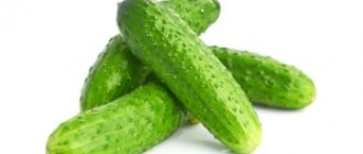 Основные мифы о продуктах с отрицательной калорийностью