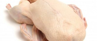 Особенности утиного мяса