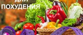 овощи сжигающие жир