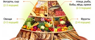 Пирамида питания:продукты здорового рациона