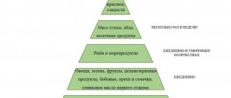 Пирамида средиземноморской диеты