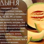 Полезные свойства дыни