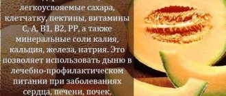 Полезные свойства дыни