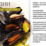 Полезные свойства мидий