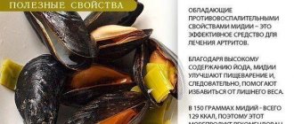 Полезные свойства мидий