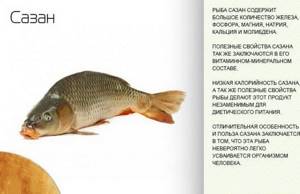 Сколько калорий в рыбе сазан