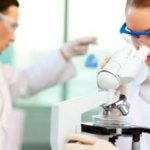 польза и вред антиоксидантов