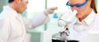 польза и вред антиоксидантов