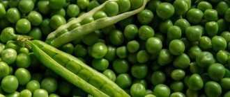 Польза и вред гороха и гороховой каши при похудении, диетические рецепты