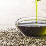 польза и вред конопляного масла