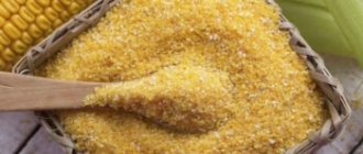 Польза и вред кукурузной каши, особенности крупы