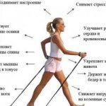 Потеря калорий при ходьбе. Расход калорий при ходьбе: таблица и калькулятор расчета