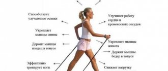 Потеря калорий при ходьбе. Расход калорий при ходьбе: таблица и калькулятор расчета