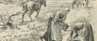 Потрясающие лечебные свойства картофеля о которых вы не знали...