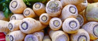 При каких проблемах со здоровьем может быть полезен пастернак