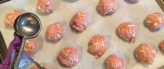 приготовление фрикаделек из индейки
