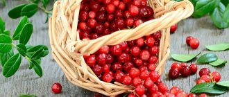 Противопоказания брусники