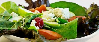 рацион на 600 калорий в день