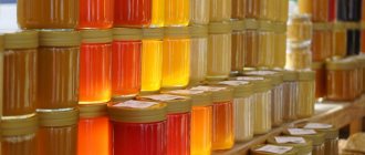 разные виды меда