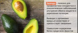 Рецепты блюд из авокадо. Как приготовить быстро и вкусно для похудения, снижения холестерина, вегетарианцев, легкие на завтрак