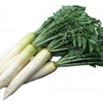 Редька дайкон