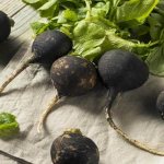 Редька: польза и вред для человека