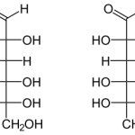 Рис. 4. D-глюкоза (слева) и L-глюкоза (справа)