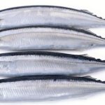 Рыба сайра в свежем виде