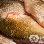 Сазан свежий