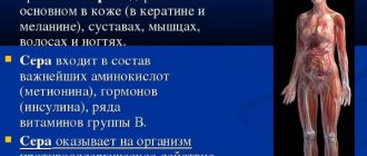 Сера для организма человека. Польза и вред микроэлемента, как принимать