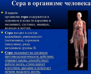 Сера. Биологическая роль и применение. Соединений серы в медицине (Реферат)