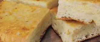 Шарлотка с капустой - простые и быстрые рецепты заливного капустного пирога