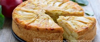 Шарлотка с яблоками, выпеченная в духовке - пышная и вкусная