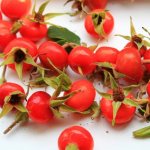 Шиповник для похудения рецепт