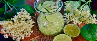 Сироп бузины