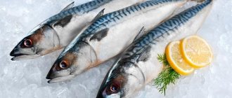 Скумбрия, она же макрель: за что эту рыбу прозвали морской аристократкой