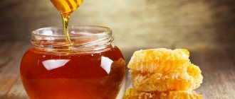 сорта меда и их лечебные свойства