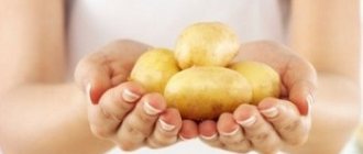 Состав и полезные свойства картофельного сока - основные моменты