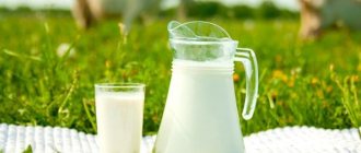 Состав и жирность козьего молока