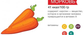 Состав моркови