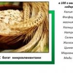 состав овсяной крупы