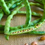 Спаржевая фасоль